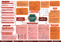11_The P-Block Elements.pdf